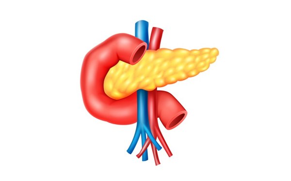 Diseases of the pancreas