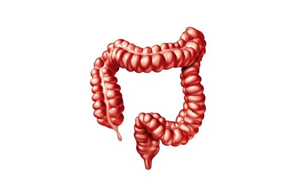 Maladies du colon, de l’anus et du rectum